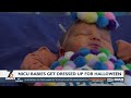 Local hospitals dress up NICU babies in Halloween costumes