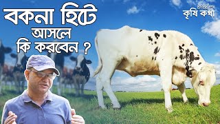 বকনা হিটে আসলে করনীয় । মোঃ মালিক ওমর  | Pregnant Cow | Krishi Kotha | কৃষিকথা