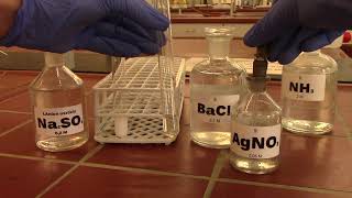 Sulfite ions with barium ions and silver ions