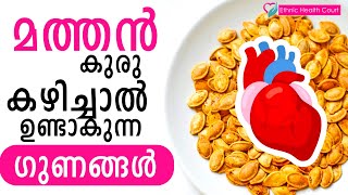 മത്തൻ കുരു കഴിച്ചാൽ ഉണ്ടാകുന്ന ഗുണങ്ങൾ | Health Benefits of Pumpkin Seeds | Ethnic Health Court