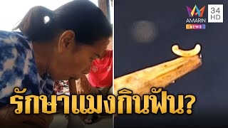 รักษาฟันแบบโบราณแมงกินฟันต่อหน้าต่อตา แพทย์ยันไม่มีจริง | ข่าวเที่ยงอมรินทร์ | 26 มิ.ย.66