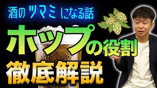 【徹底解説】ビールには欠かせないホップの役割とは！？