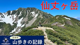 山歩きの記録　仙丈ヶ岳