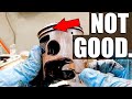 157 Hours Did THIS?! - KDX200 Engine Tear Down After Torture Test