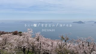 ［日本四國］香川県 紫雲出山の桜- 關於一千多顆櫻花樹與瀨戶內海對望的浪漫🥰💕