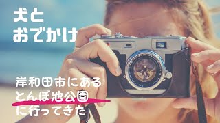 犬とおでかけ！大阪、岸和田市の『とんぼ池公園』に行ってきた