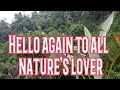 HELLO AGAIN NATURE'S LOVER ENJOY THE BEAUTIFUL SCENERY