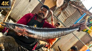 ARAKOLA (WAHOO) FISH CUTTING BY SPEED SELVAM | 4K VIDEO | IN KASIMEDU | CUTTING FOCUS 🔪