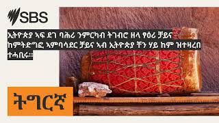 ኢትዮጵያ ኣፍ ደገ ባሕሪ ንምርካብ ትገብሮ ዘላ ፃዕሪ ቻይና ከምትድግፎ ኣምባሳደር ቻይና ኣብ ኢትዮጵያ ቸን ሃይ ከም ዝተዛረበ ተሓቢሩ። | SBS...