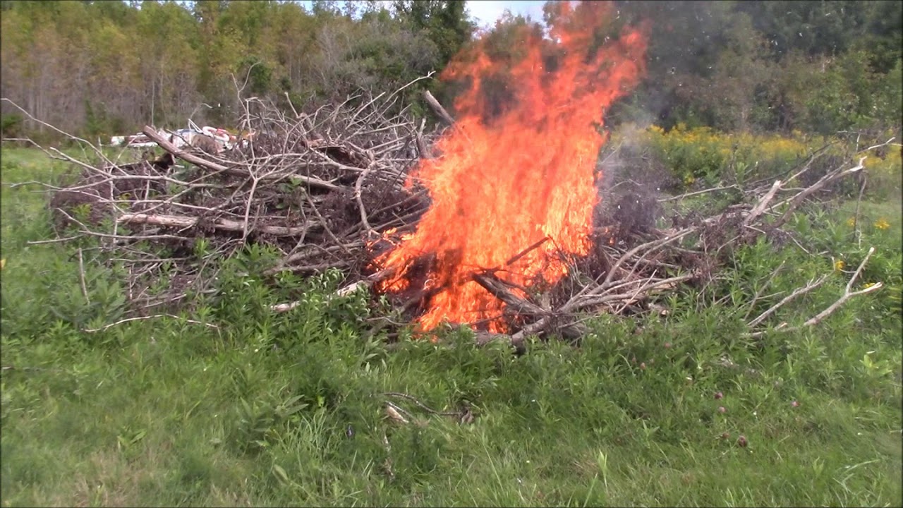 Why Do Brush Fires Start