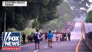 The Biden admin doesn’t want to fix the border: Ex-acting ICE chief