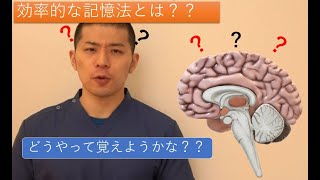 【国家試験　受験生】効率的な記憶方法