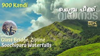 Wayanad Chembra Peak | 900 Kandi | Glass Bridge | Soochipara Waterfalls