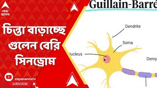 GBS News: চিন্তা বাড়াচ্ছে গুলেন বেরি সিনড্রোম। মহারাষ্ট্র, পুনেতে বাড়ছে আক্রন্তের সংখ্যা