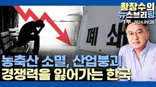 15-1부: 신자유주의가 가져온 허상과 상처[세계][황장수의 한국사 100](2024.09.26)