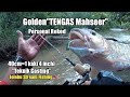 Pengembaraan solo-Jeram sekitar N.9-Sambaran Tengas Besar-Golden Cooper Mahseer-jsf🇲🇾-2023-vlog208