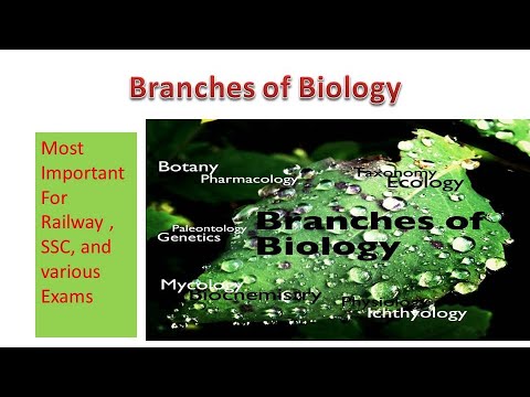 Branches Of Biology - YouTube