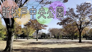 千葉・新松戸にある広々とした気持ちがいい公園【新松戸中央公園】