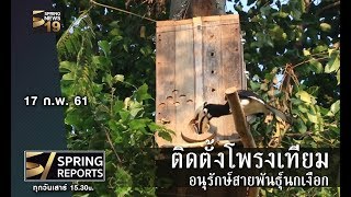 ติดตั้งโพรงเทียม อนุรักษ์สายพันธุ์นกเงือก | 17 ก.พ. 61 | Spring Reports