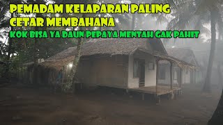 Pemadam Kelaparan Paling Cetar Membahana. Bakar Nila Air Payau Plus Lalapan Mentah Komplit.