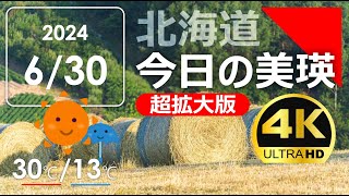 今日のびえい！【超拡大版】北海道-美瑛町の風景を毎日発信中｜2024.6.30.