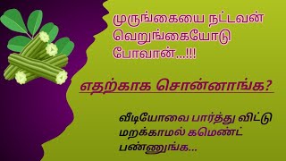 பழமொழியின் அர்த்தம்|எதற்காக சொன்னாங்க?#meanings of tamil proverb|தெரிந்த பழமொழி தெரியாத அர்த்தம்