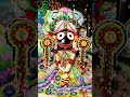 jagannath bhajan in hindi new jagannath bhajan 🌺🙏🙏