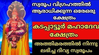 കടപ്പാട്ടൂർ മഹാദേവ ക്ഷേത്രം🕉️ 𝐊𝐚𝐝𝐚𝐩𝐩𝐚𝐭𝐨𝐨𝐫 𝐒𝐫𝐞𝐞 𝐌𝐚𝐡𝐚𝐝𝐞𝐯𝐚 𝐭𝐞𝐦𝐩𝐥𝐞. 𝐏𝐚𝐥𝐚 𝐒𝐡𝐢𝐯𝐚 𝐓𝐞𝐦𝐩𝐥𝐞