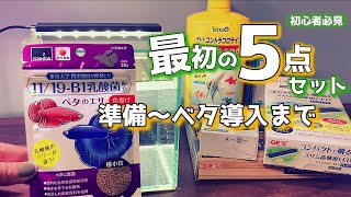 【ベタ飼育】初心者5点セットと新しいベタ導入！