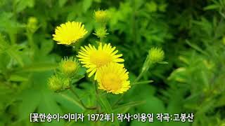 [꽃한송이~이미자 1972년] 韓國歌謠 kpop 가사지원