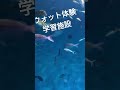 浜名湖 ウォット体験学習施設