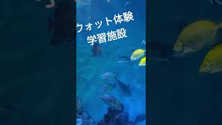 浜名湖 ウォット体験学習施設