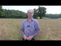 iosr phoma stem canker 2016