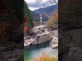 どこまでも進むよ！岩が危険… 旅行 渓谷 寝覚めの床 岐阜県 日本半周の旅 アヒルカーの旅 shorts