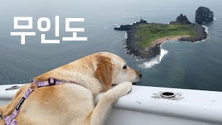 Puppy takes first steps on an uninhabited island in Jeju!