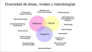 Neurociencia cognitiva de los sistemas sensoriales. Dr. Leonel Gomez