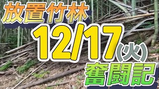 放置竹林奮闘記【サラリーマンが竹を焼く日々】2024/12/17