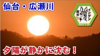 インゲン散歩'21　仙台・広瀬川03 夕陽が静かに沈む！　2021 1 25