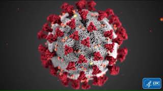 Funeral homes/cemeteries adjusting procedures in wake of pandemic