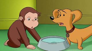 Georges le Petit Singe 🐵 George apprend à surmonter ses peurs 🐵 Dessins Animés