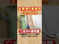 お家周り草抜き【千葉県市川市の便利屋 ショート 】作業料目安・お見積りは概要欄をご覧下さい！ 草抜き 草刈り