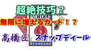 無限に増える？！　超絶技巧　オプティカルディール　高橋匠　レナート・グリーン