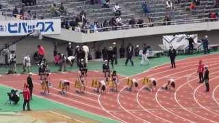 2014年織田記念陸上　女子100m　B決勝