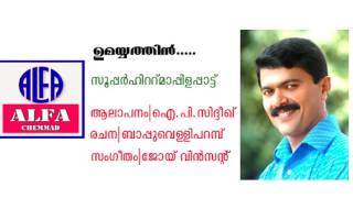 ഉമയ്യത്തിൻ |സൂപ്പർഹിറ്റ് മാപ്പിളപ്പാട്ടുകൾ |umayyathin|I P Sidheeq|Bappu Velliparamba