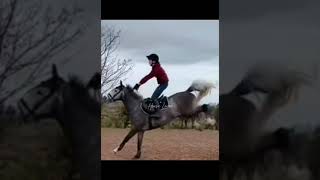 Horse riding is such a hard sport😖😣#shorts #horse #fails