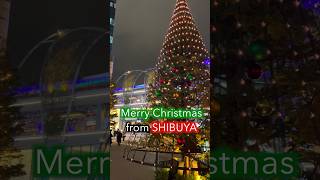 SHIBUYA - Christmas 2023🌟🎄 #Japan #shorts