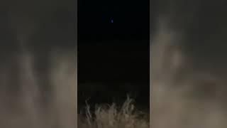 large blue UFO seen above Oahu appeared to drop into ocean