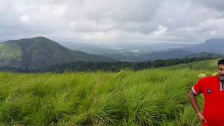 Vellaramchitta in Uluppuni Vagamon