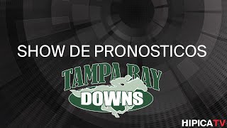 Tampa Bay Downs Show de Pronosticos - 31 de Enero 2025