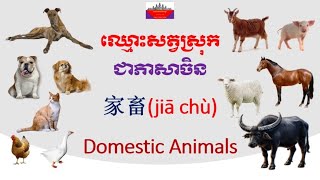 ឈ្មោះសត្វស្រុកជាភាសាចិន - Domestic Animals in Chinese Language - 家畜